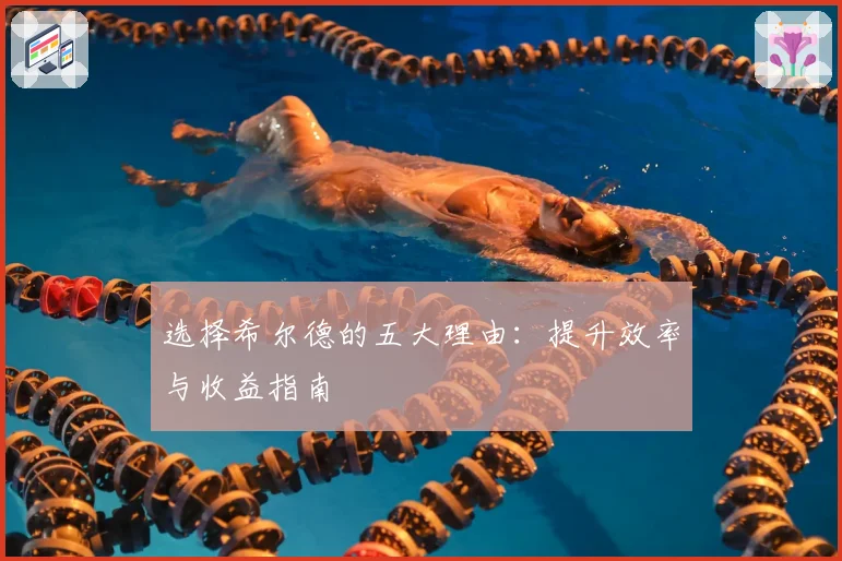 选择希尔德的五大理由：提升效率与收益指南