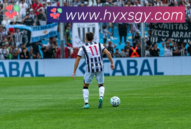 华体网页版登录入口APP 体育赛事宣传图